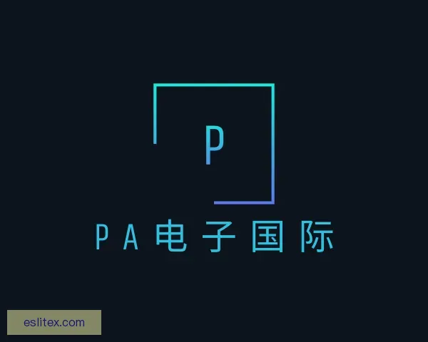 介绍PA电子